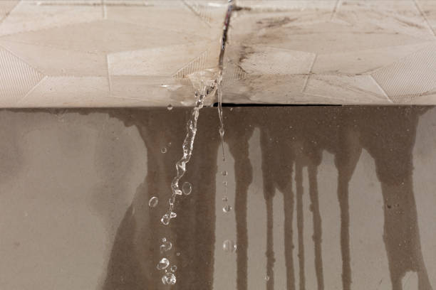 Professional Water Extraction technician working in Magnolia, NJ